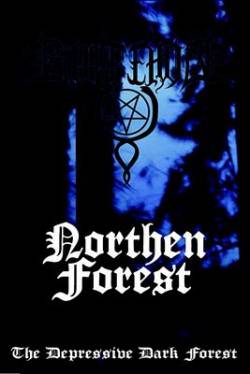 Northern Forest : The Depressive Dark Forest